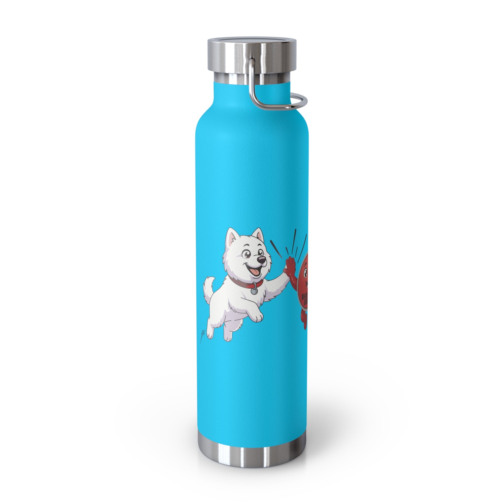 22oz Insulated Water Bottle with Baymax and Voter Button.