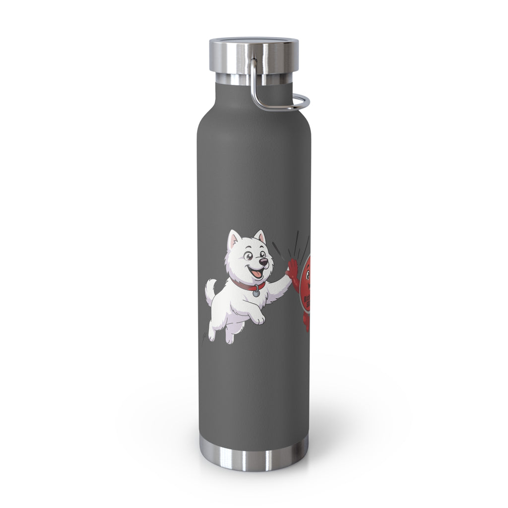22oz Insulated Water Bottle with Baymax and Voter Button.