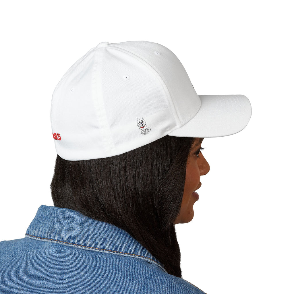 Facts Over Feelings Embroidered Cap — Bold Trump Caricature Dad Hat